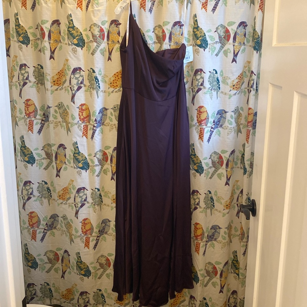 NWT David’s Bridal formal dress-plum